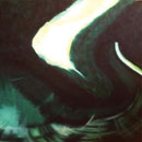 pittura
