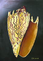 orecchio