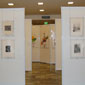mostra FAO