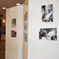 mostra FAO