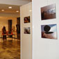 mostra FAO