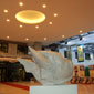 mostra FAO